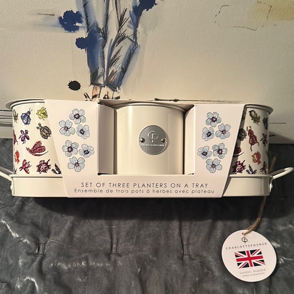 Charlotte Posner set of three metal planters with tray